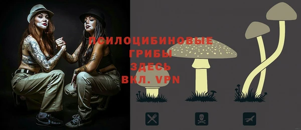 Альфа ПВП Алексин