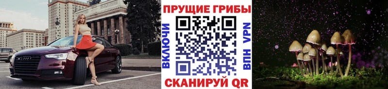 Псилоцибиновые грибы ЛСД  купить закладку  Протвино 